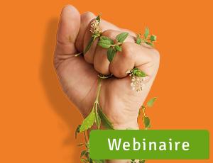 Webinaire: "Ma cuisine sans polluants"